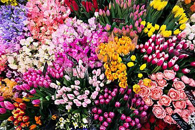 玩家自制初代《孤岛惊魂》画质MOD 对比视频放出